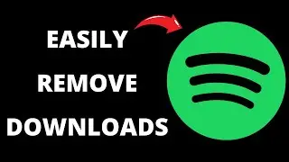 How To Remove All Downloads On Spotify