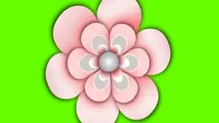 flower animation green screen background effect