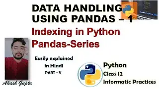 Indexing in Python Pandas - Series | Easily explained in hindi #pythonprogramming #python
