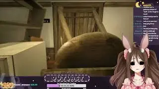 Cherry Tries to Play Outlast and not Die (Part 1)