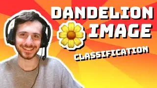 Dandelion Image Classification (Transfer Learning) - Data Every Day #243