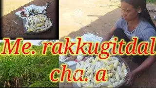 Me. rakkugitdalcha. a