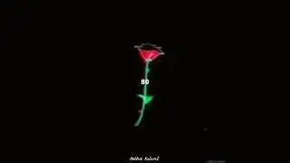 Son Feci Bisiklet - 80 (speed up)