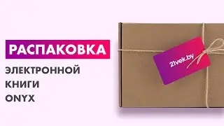 Распаковка — Электронная книга Onyx Boox Faust 5