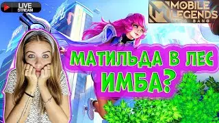 Гайд по сливам в Mobile Legends, день 2.