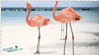 Photoshop | Cloning an Image with a Realistic look