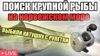 ВЫБИЛИ РИГАЛ С РУЛЕТКИ  • РОЗЫГРЫШИ • РР4 СТРИМ • РУССКАЯ РЫБАЛКА 4