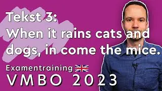 English Exam VMBO-TL/GL 2023 Period 1 Text 3: When it rains cats and dogs, in come the mice.