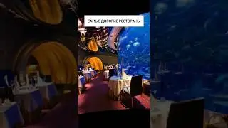 САМЫЕ ДОРОГИЕ РЕСТОРАНЫ МИРА! #shorts #youtubeshorts #топ #факты #интересно #самые #макиего
