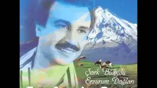 Seyfettin Sucu - Doldur Kardeş İçelim