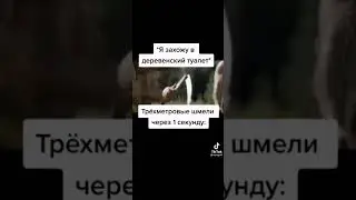 Пчёлы