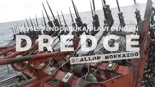 HOKKAIDO SCALLOPS! The Process of Dredging the Ocean Floor with a Giant Rake