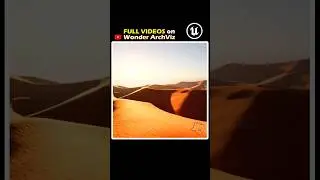UNREAL ENGINE 5 Environments (EXTRACT)