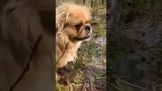Водные процедуры 