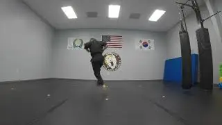 Brown Belt | Form: 5th Advance