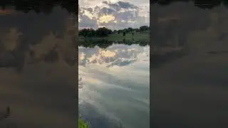 Is this heaven? 