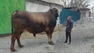 27 декабря 2021 г.