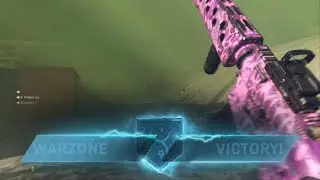 Call of Duty Warzone  EPIC WIN funny video