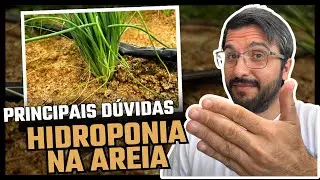 Respondendo dúvidas sobre Hidroponia na areia ( Parte 1)