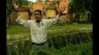 Miami Metrozoo's 2 @ the Zoo with Ron Magill - Tiger