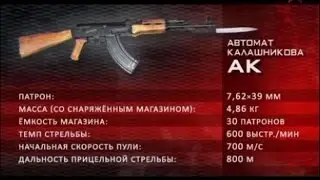 Отечественное стрелковое оружие. Автоматы.