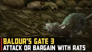 Attack or Bargain with Rats (Both Outcomes) | Baldur's Gate 3