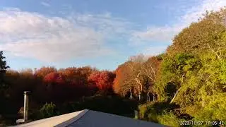 10/27/23 Gorgeous fall foliage...
