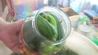 Маринованные огурцы / Готовить легко