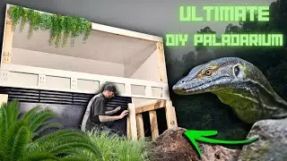 How To Build The Ultimate Paludarium. DIY Reptile Enclosure