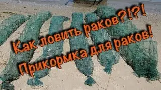 How to make bait for catching crayfish. How to catch crayfish) (I set up crayfish traps)