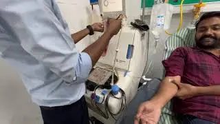 Plasma | Physiology | Biology |  NICK YT