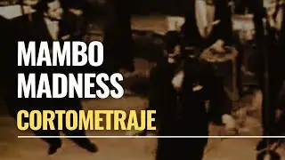 Cortometraje 