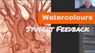 Watercolours: Form and Texture - Student Feedback