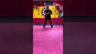 Siu  Leem Tau!!The Little Idea !!🐉🐉🐉Wing Chun Form .☯️