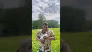 Продолжаем рубрику: команда Сафари-парк! Наш зоотехник Махмуд