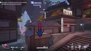 SPIDER-MAN