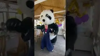 Первый, первый, я второй #panda #umka #Амиго #Умка #dance #umkarostov #мишкаумка #амиго  #танцы