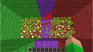 I started a WAR!