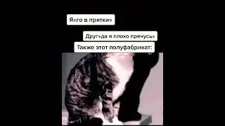 #мем