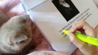 Let me study! Funny cat!