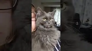 Утренние сборы на работу))