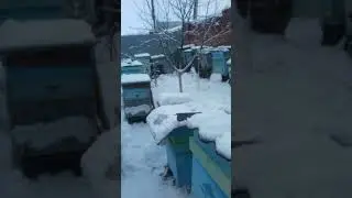 первые потери