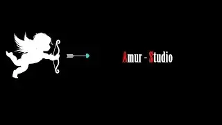 Amur-Studio