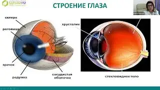 КАК УЛУЧШИТЬ СВОЁ ЗРЕНИЕ?