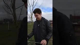 Весенний пикник#2 #2024 #shorts #nature #food