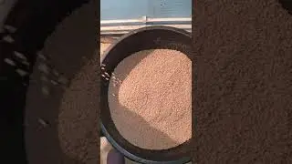 Гранулируем комбикорм для уток. Гранулятор от Донецкого кролика 👍👍👍