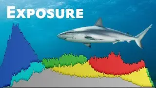 Exposure and Your Histogram
