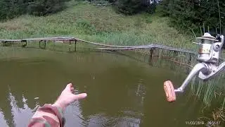 Рыбалка на карася в Пермском крае