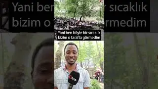Adana Sıcağına İsyan Eden Afrikalı! 