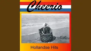 ‘K Heb mooie tulpen
